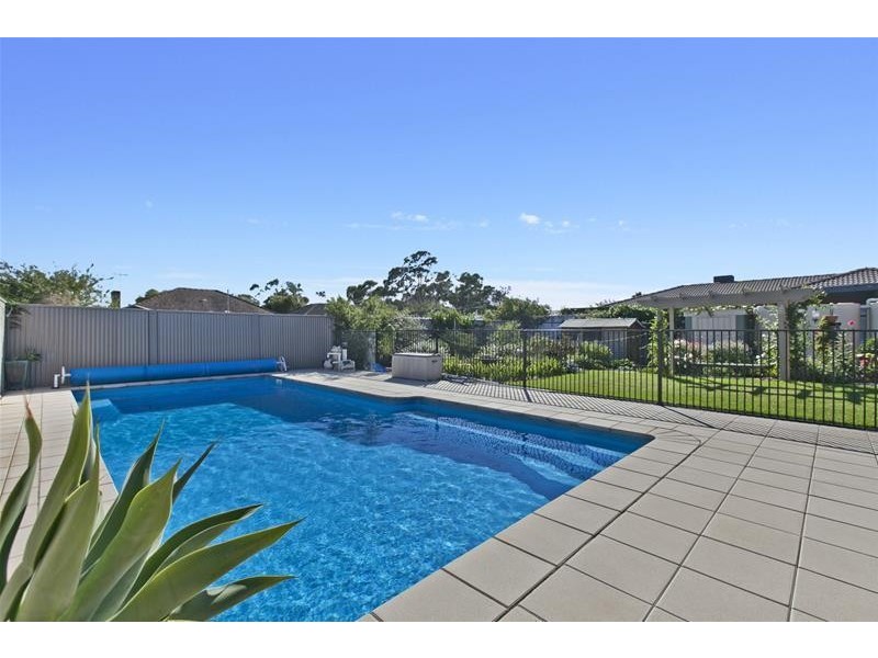 37 Norrie Avenue, Clovelly Park SA 5042