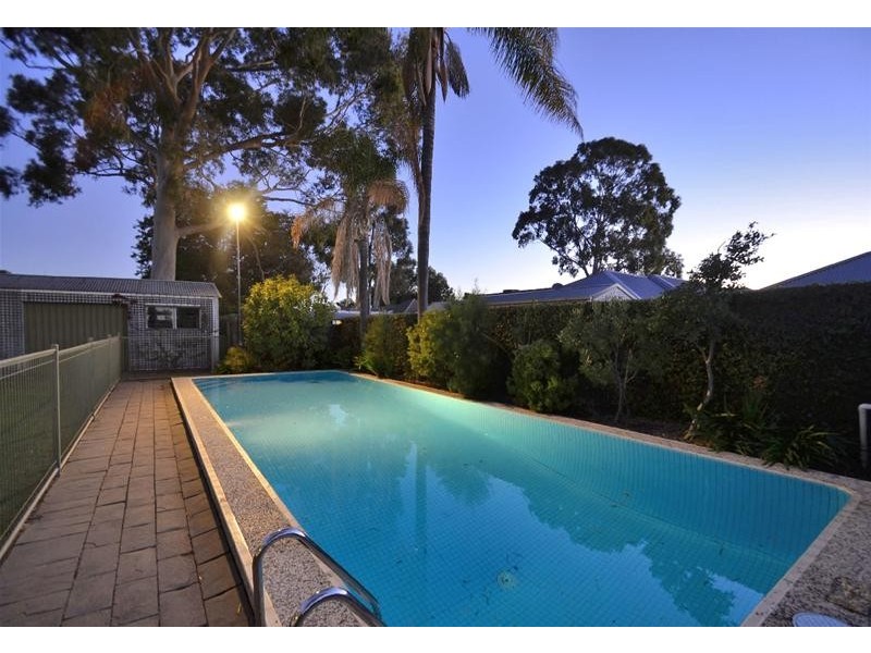 13 Teesdale Crescent, Plympton Park SA 5038