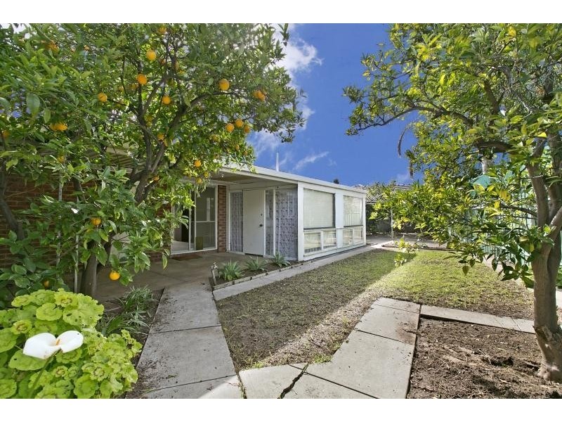 8 Pankina Grove, Marion SA 5043