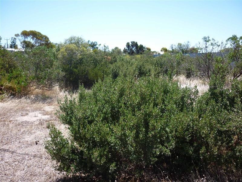 7 Thompsons Beach Road, Thompson Beach SA 5501