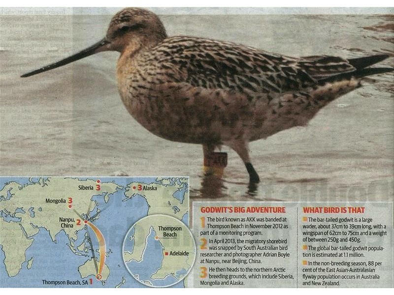 7 Thompsons Beach Road, Thompson Beach SA 5501