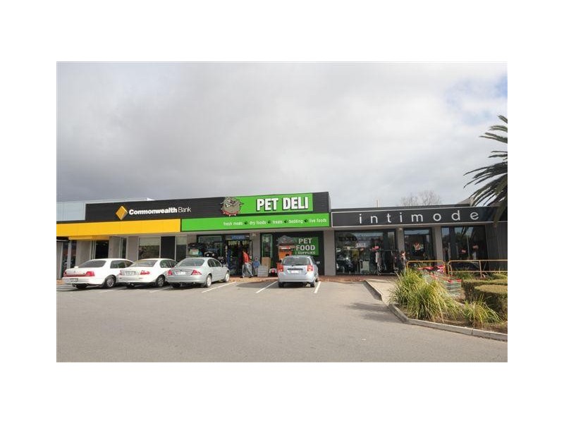 513 Cross Road, Plympton Park SA 5038