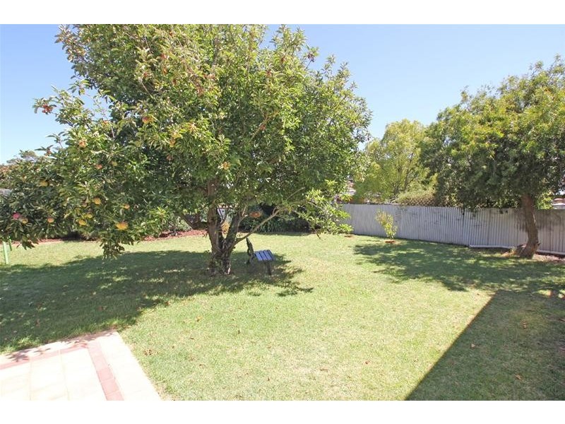 3 Cavan Terrace, Clovelly Park SA 5042