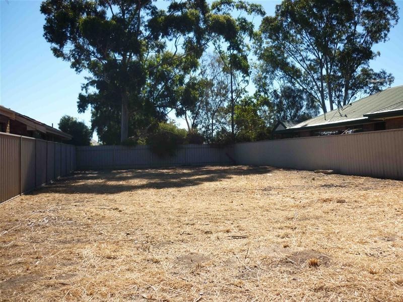 19 Frost Street, Newton SA 5074