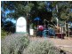 19 Frost Street, Newton SA 5074