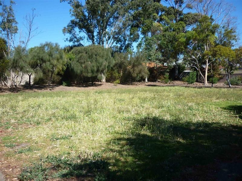 19 Frost Street, Newton SA 5074