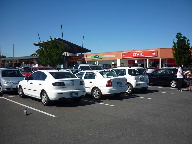 19 Frost Street, Newton SA 5074