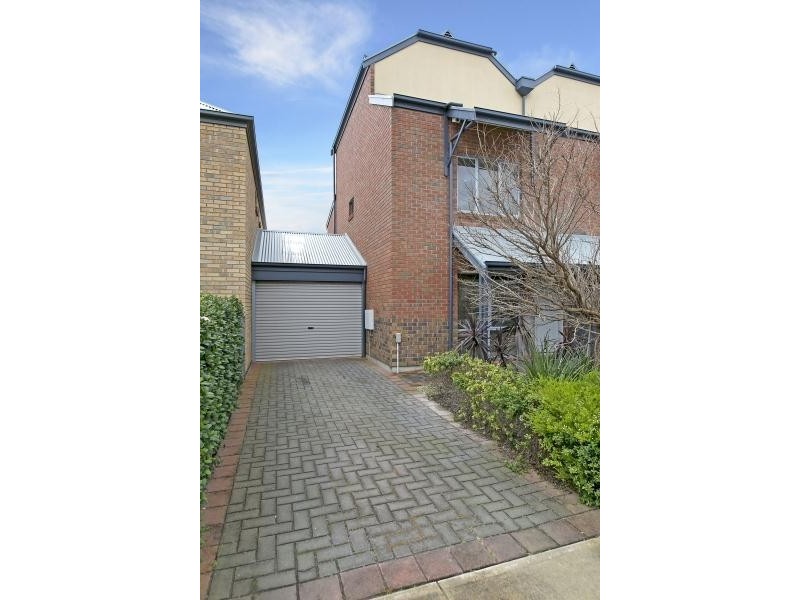 29 Frederick Street, Richmond SA 5033