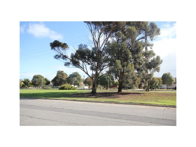 Lot 37, 43 McArthur Avenue, Plympton SA 5038
