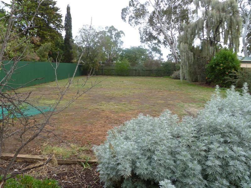 19a The Grove, Woodville SA 5011