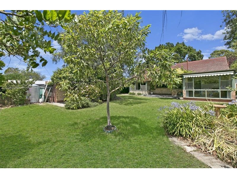 17 Shakespeare Avenue, Plympton Park SA 5038