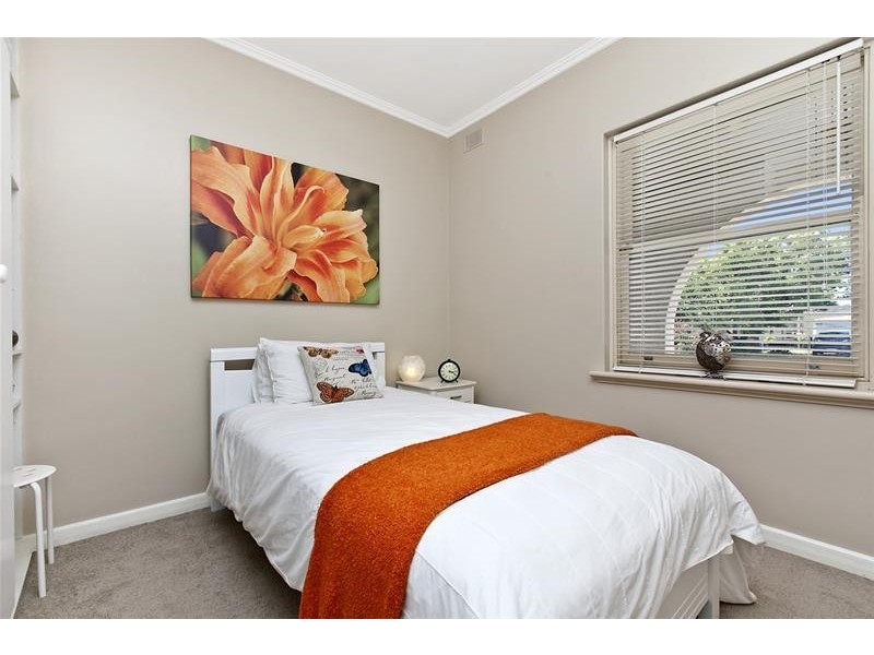 13 Freda Street, Netley SA 5037