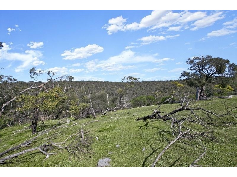 44 Gosse Road, Clarendon SA 5157