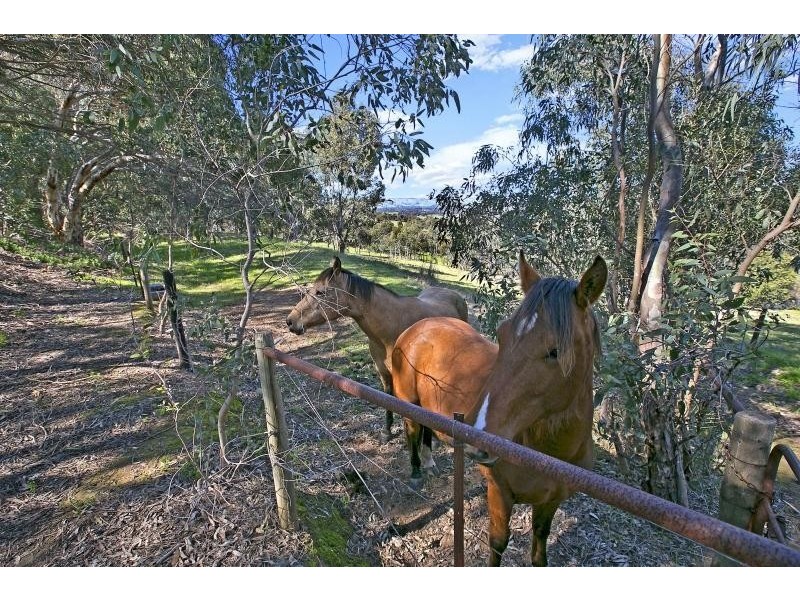 44 Gosse Road, Clarendon SA 5157