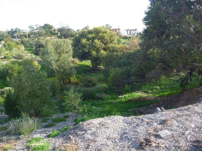 101-11 Seaview Avenue, Kingston Park SA 5049