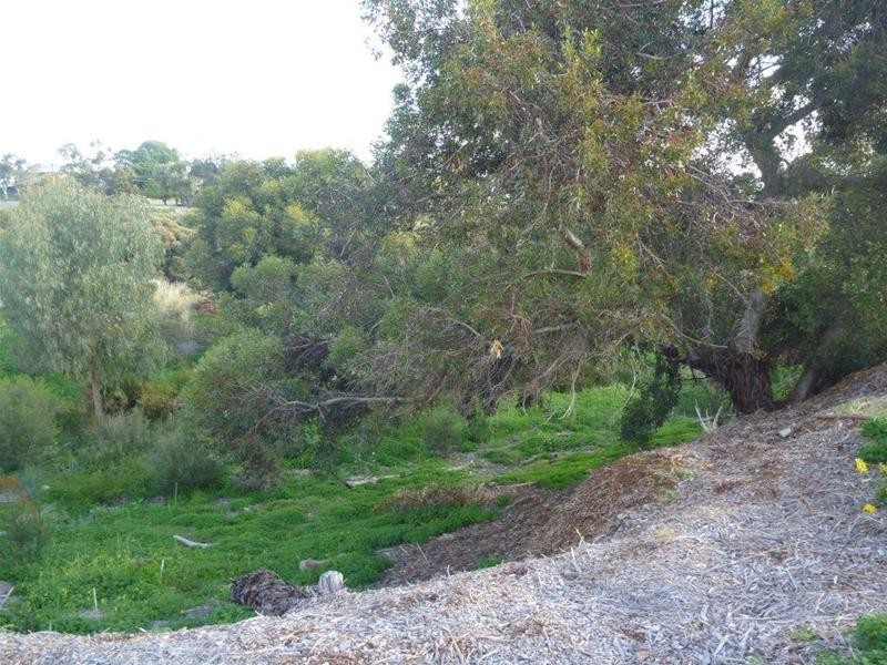 101-11 Seaview Avenue, Kingston Park SA 5049