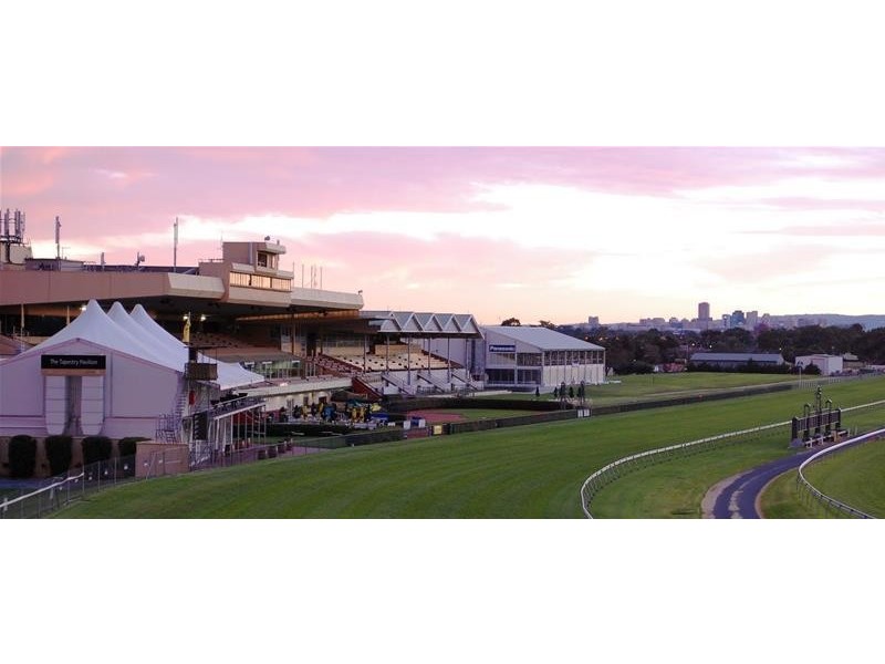 1A Kingston Street, Plympton Park SA 5038