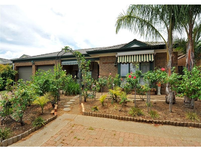 16 Peppertree Grove, Marion SA 5043