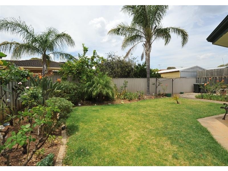 16 Peppertree Grove, Marion SA 5043