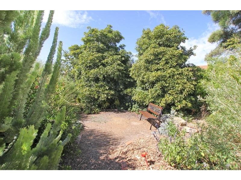 58 Wheaton Street, South Plympton SA 5038