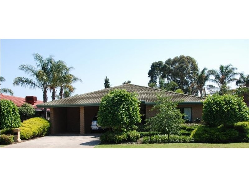 45 Oliphant Avenue, Marion SA 5043