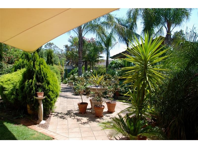 45 Oliphant Avenue, Marion SA 5043