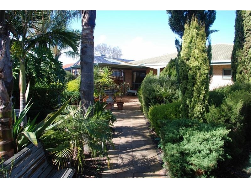 45 Oliphant Avenue, Marion SA 5043