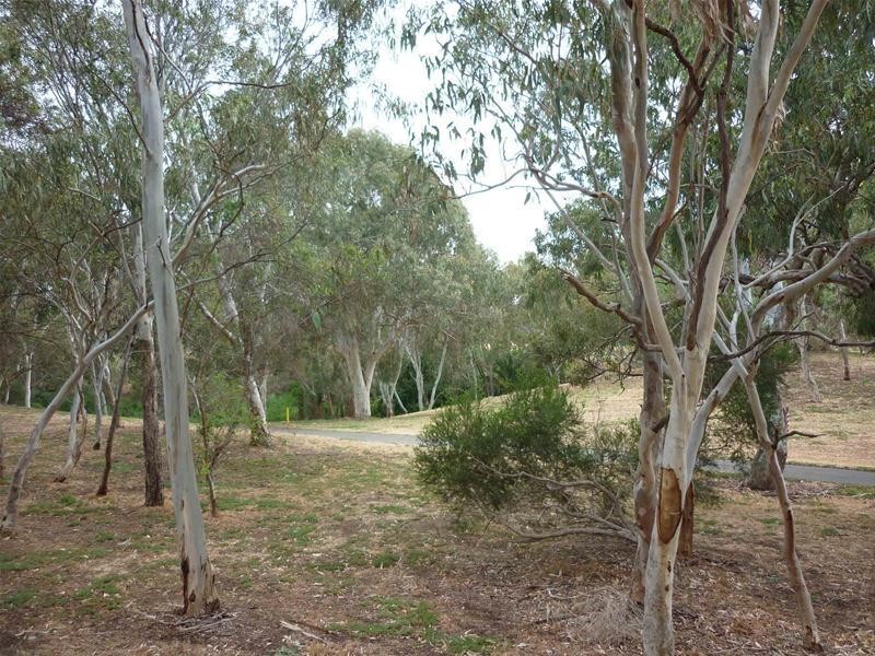 30 Ascot Avenue, Vale Park SA 5081