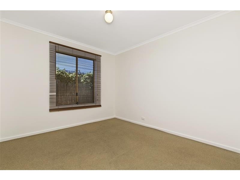 46 Young Avenue, West Hindmarsh SA 5007