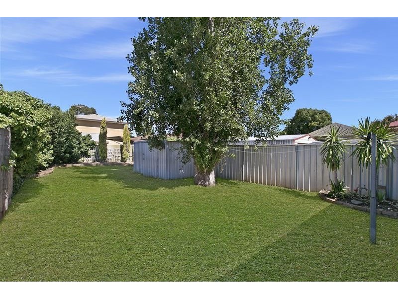 46 Young Avenue, West Hindmarsh SA 5007