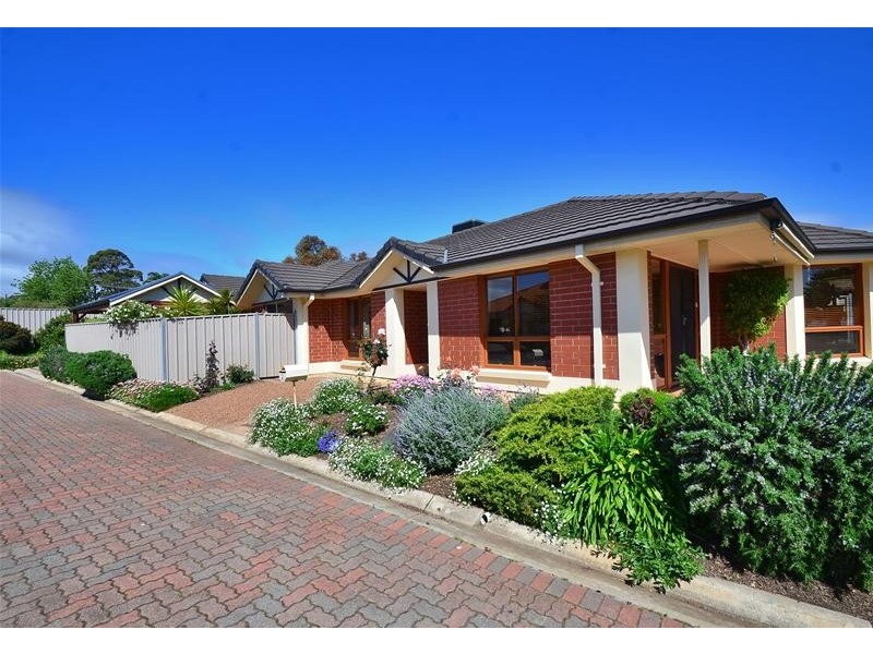 8 Timothy Court, Mitchell Park SA 5043