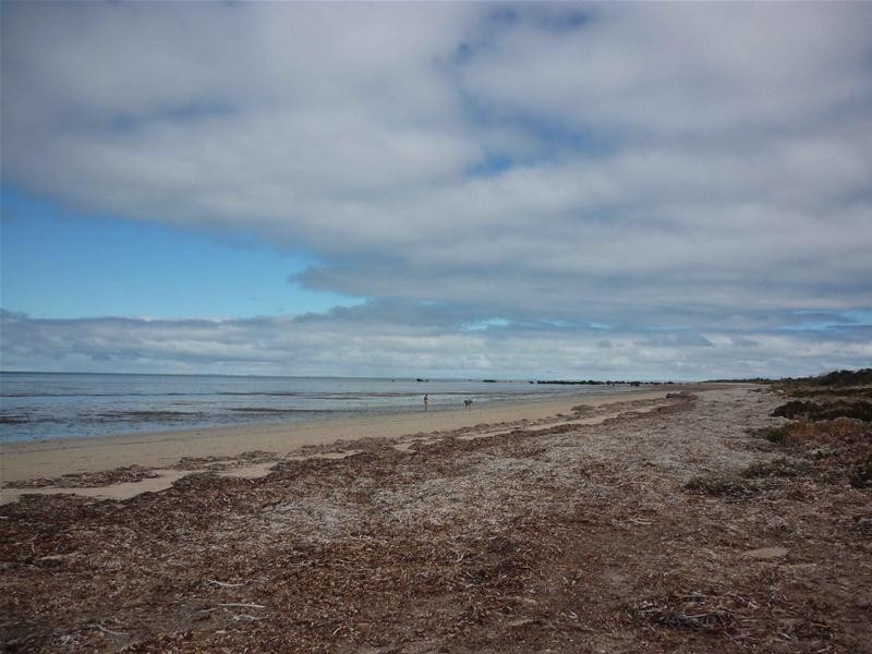 11 Thompson Beach Road, Thompson Beach SA 5501