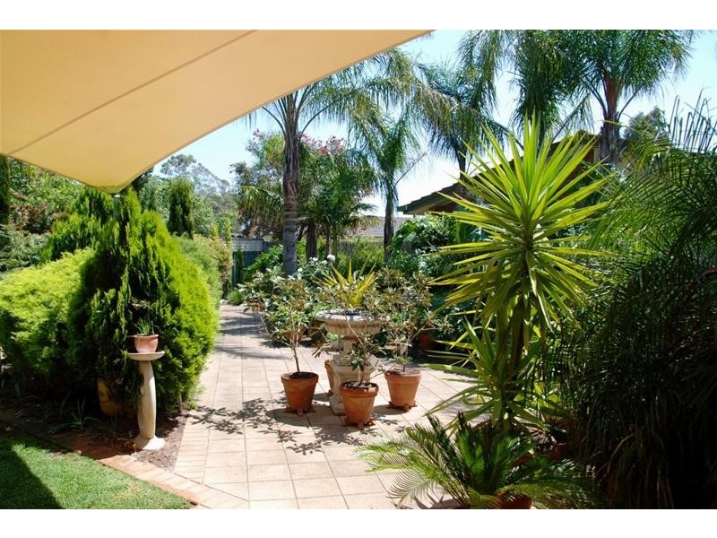 45 Oliphant Avenue, Marion SA 5043