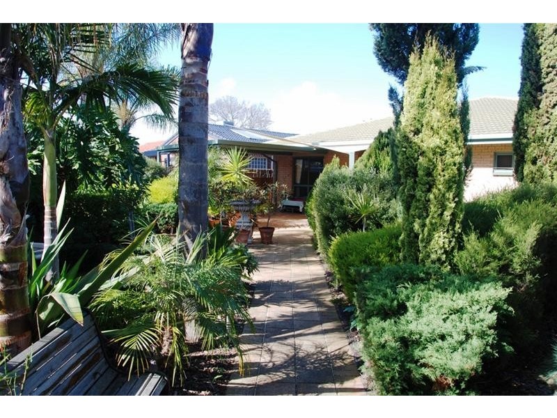 45 Oliphant Avenue, Marion SA 5043