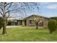 7 Morriss Avenue, Marion SA 5043