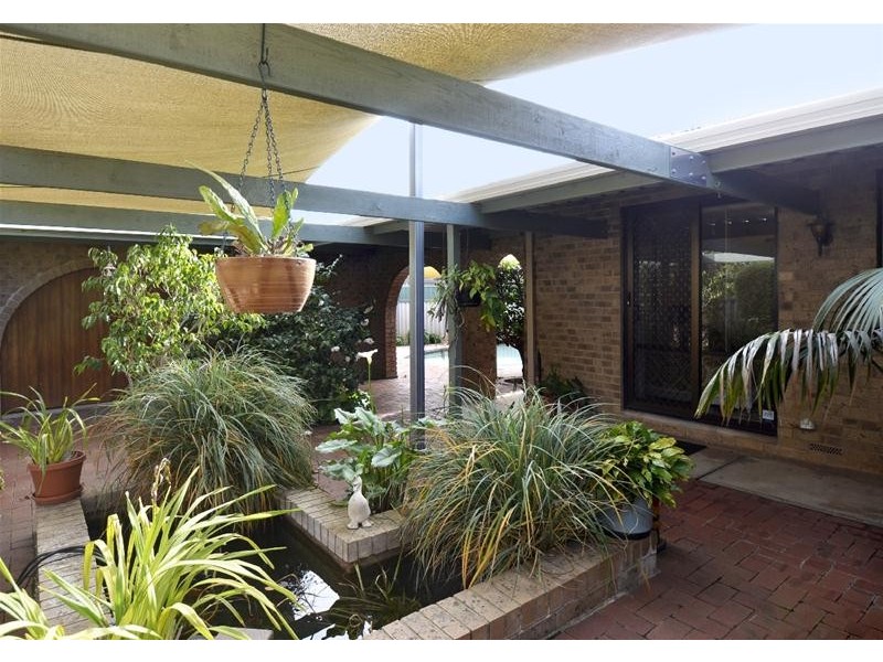 7 Morriss Avenue, Marion SA 5043