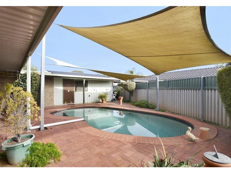 7 Morriss Avenue, Marion SA 5043