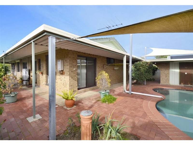 7 Morriss Avenue, Marion SA 5043