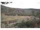 334 Wollondibby Road, Jindabyne NSW 2627