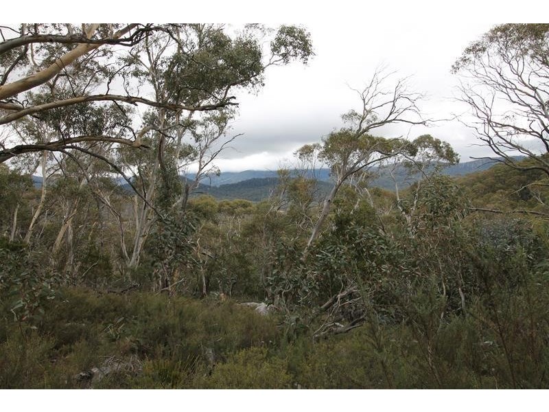 334 Wollondibby Road, Jindabyne NSW 2627