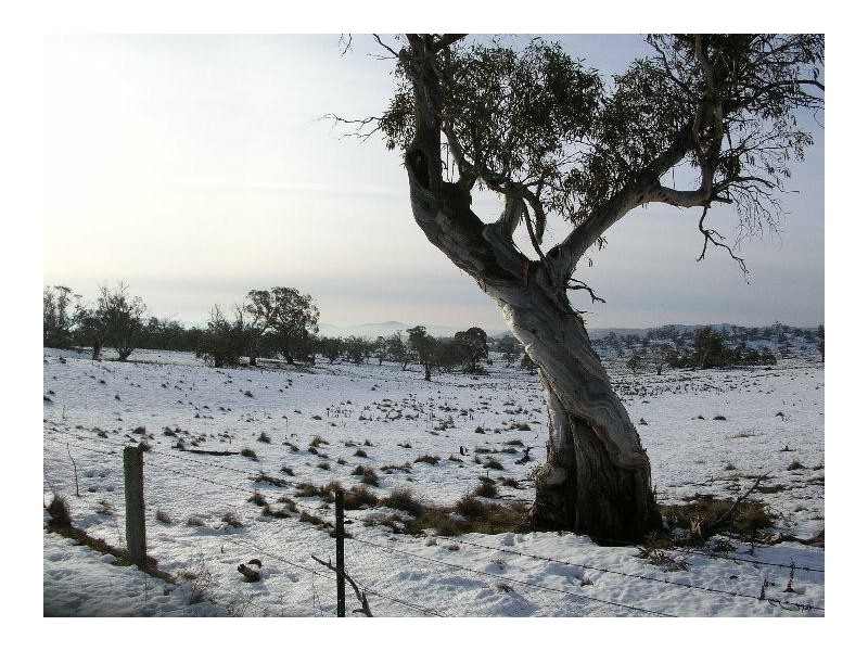 7230 Snowy River Way, Jindabyne NSW 2627