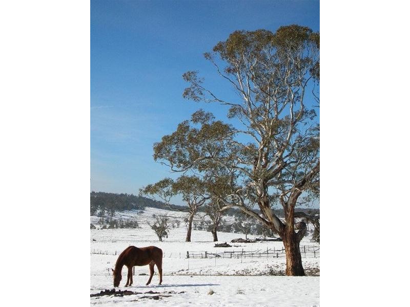 7230 Snowy River Way, Jindabyne NSW 2627