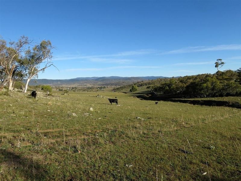 Lot 24 Polo Lane, Jindabyne NSW 2627