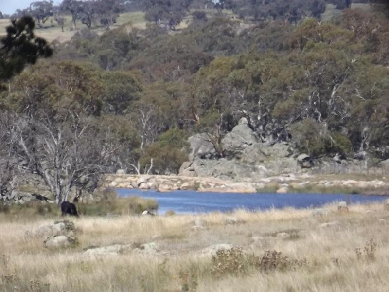 Lot 4/115 Hilltop Road, Jindabyne NSW 2627