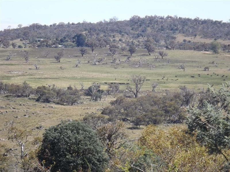 Lot 4/115 Hilltop Road, Jindabyne NSW 2627