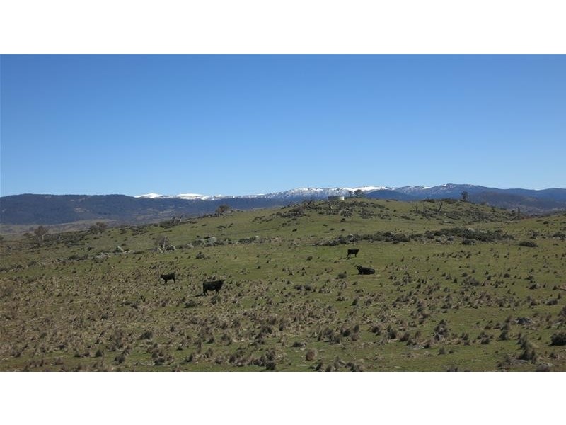 Lot 4, Lot 4 Snowy River Way, Jindabyne NSW 2627