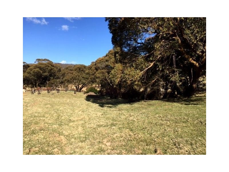 11 Stockwhip Way, Jindabyne NSW 2627