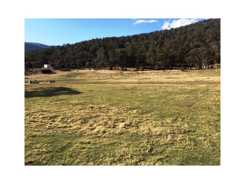 11 Stockwhip Way, Jindabyne NSW 2627