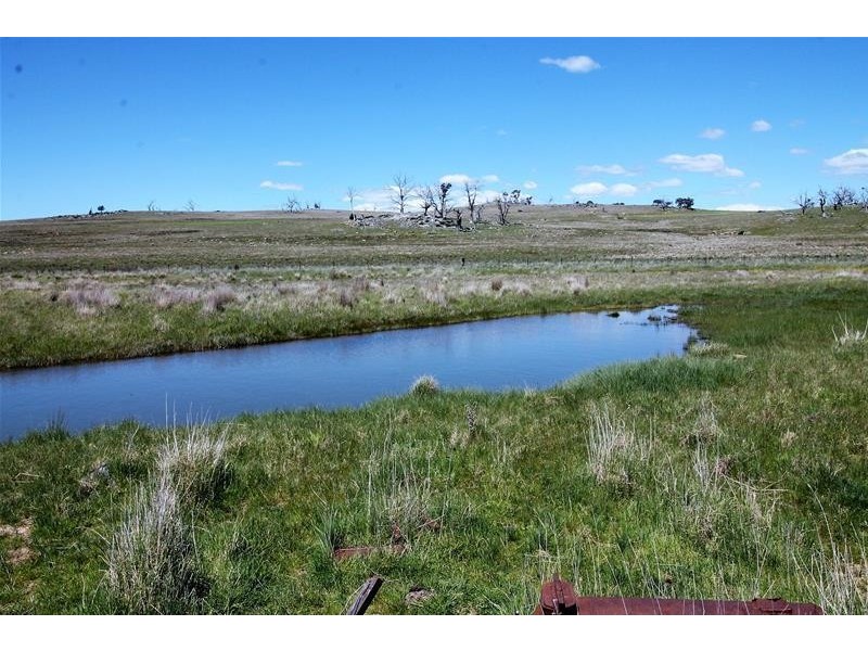 1647 Jimbenbuen Road, Numbla Vale NSW 2628