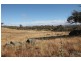 Proposed Lot 2/ Maunders Lane, Jindabyne NSW 2627